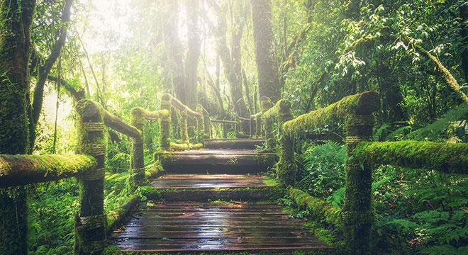 营销短视：要么增长，要么消亡